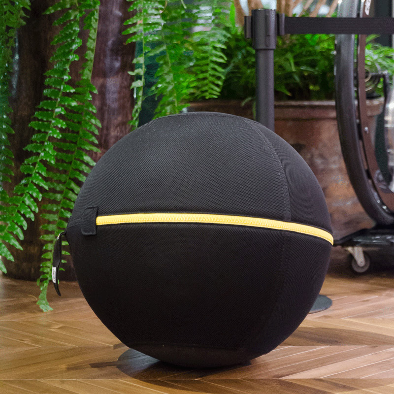 「Wellness Ball（ウェルネスボール）」3万3480円／Technogym（テクノジム）