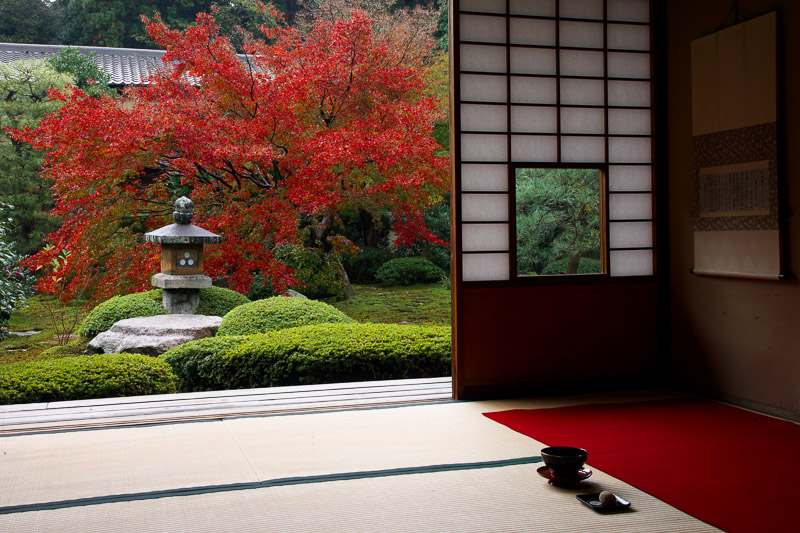 雲龍寺庭園と紅葉の見事なコラボレーション。写真／（C）水野克比古