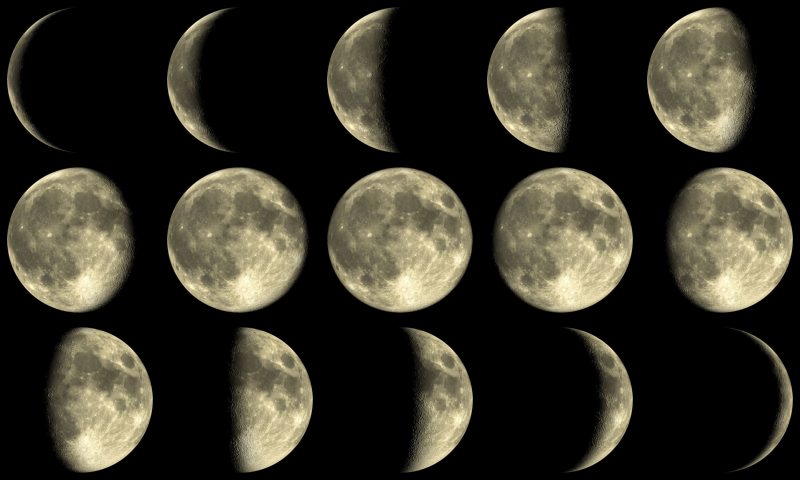 tristan3d110400145.jpg - the moon with all phases during a month