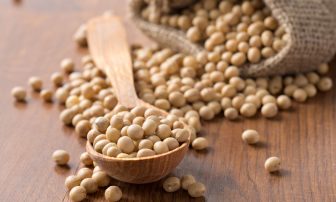 【ライザップ式オススメ食材】ダイエットに最適な大豆の効果的な食べ方
