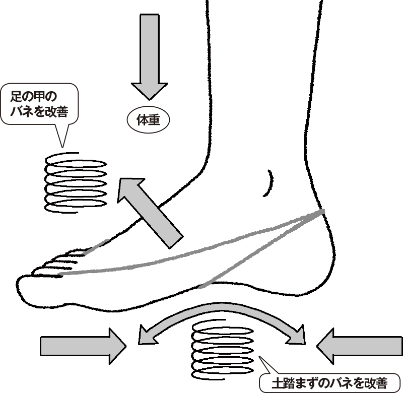足に輪ゴムをかけ、土踏まずと足の甲への働きを解説したイラスト