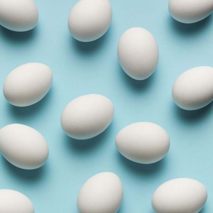 たくさんの卵