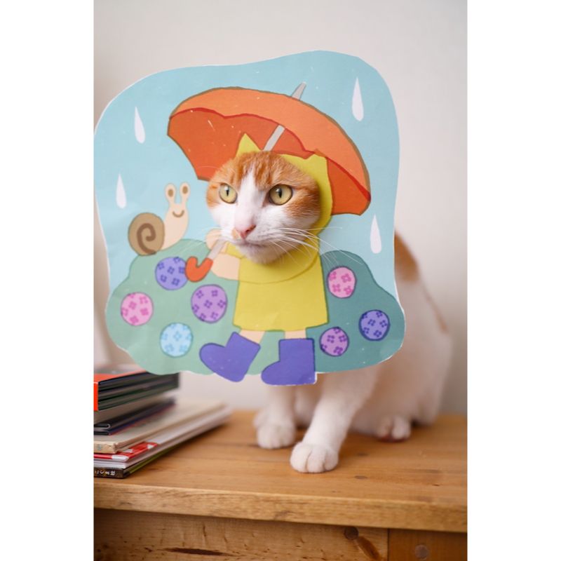 6月の「梅雨の季節」のページで登場するはめ猫。レインコートを羽織り、傘をさした姿であじさいの咲く道を歩いています。真剣な表情で、雨音を聴いているのかも…？