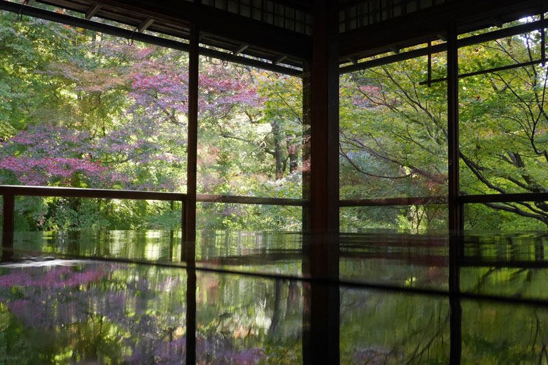 期間限定公開なども予約制に。写真は京都「瑠璃光院」の2020年秋の公開（予約制）から