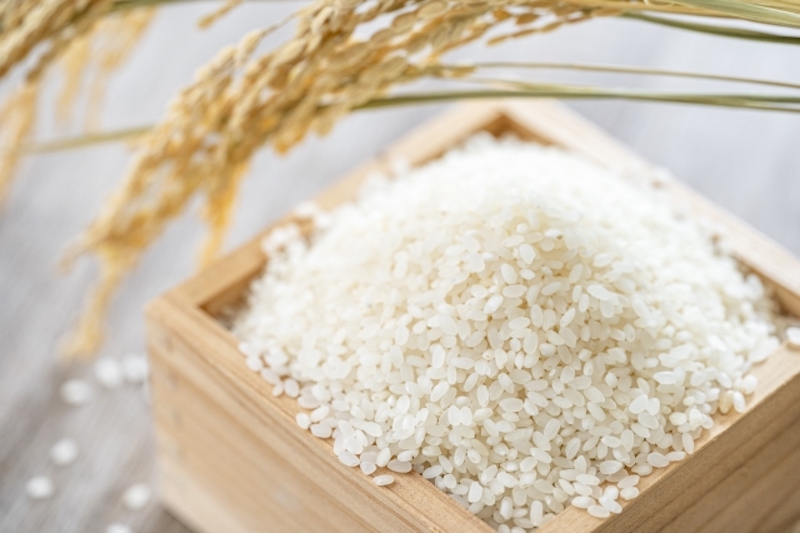 胃腸の調子を整え、栄養吸収を助ける米