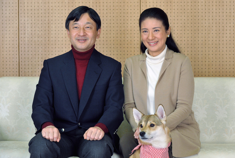 陛下のインナーに色を寄せたバンダナつけた愛犬の由莉（2012年12月、Ph／宮内庁提供）