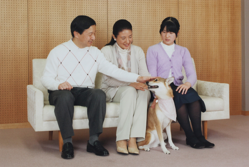 2014年、白のタートルネックに白のカーディガン、シャネルの柄物のストールをお召しになりソファに腰掛ける雅子さまと天皇陛下と愛子さまと愛犬