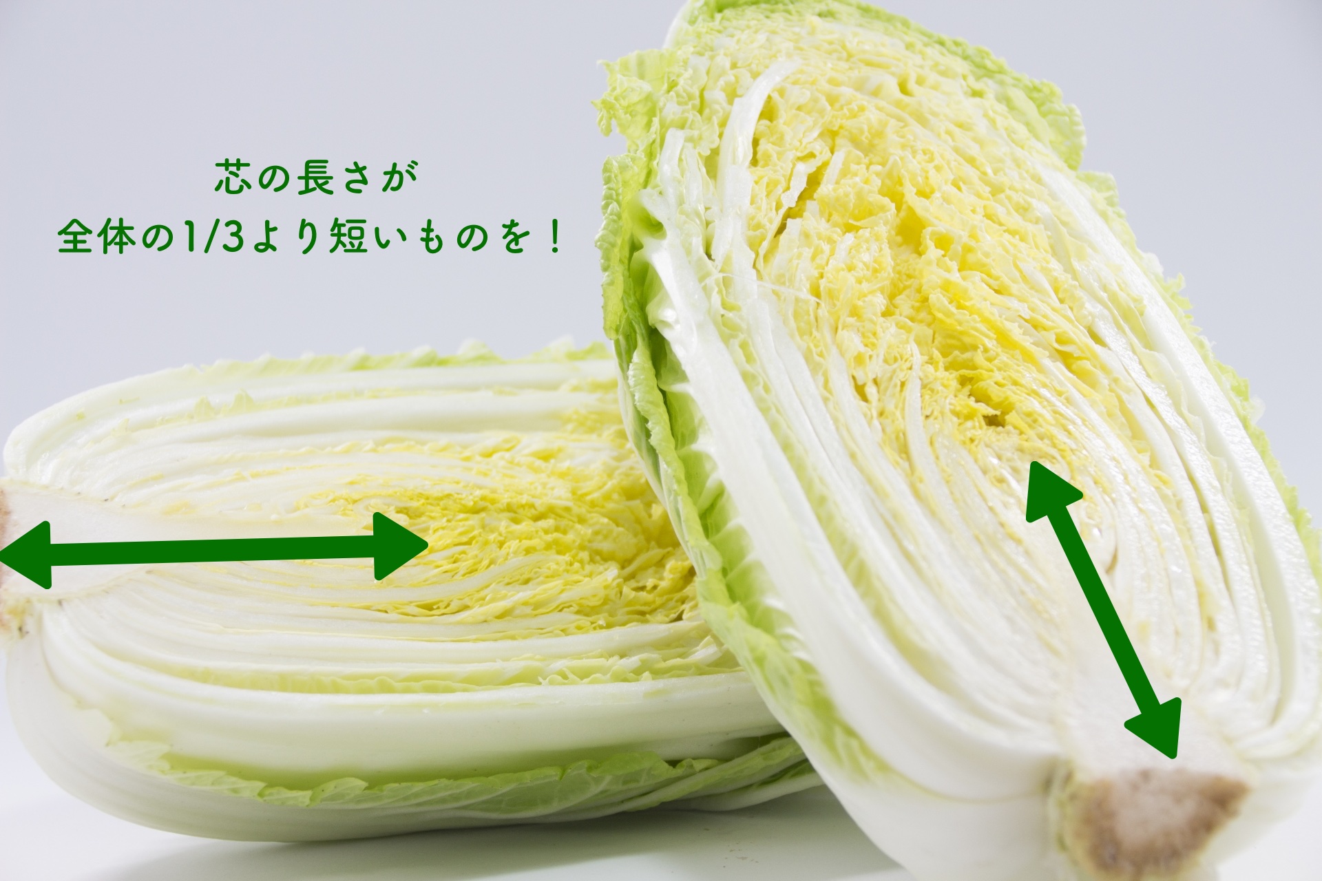 芯の短い白菜が◎（Ph／Photo AC）