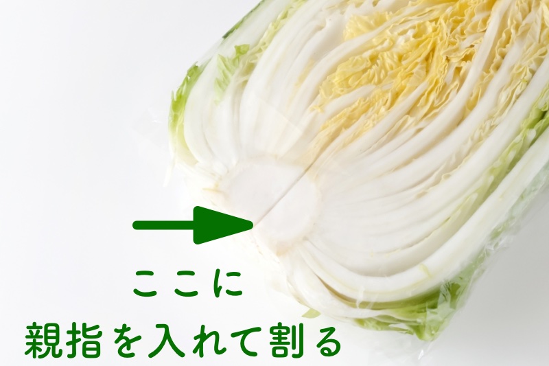 白菜をカットするときは、包丁でなく手で割るのが◎（Ph／Photo AC）