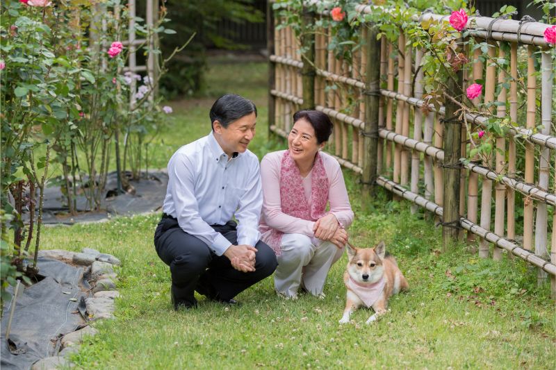 雅子さまはピンクのトップスにピンクのストールをお召しに。愛犬の由莉を連れて東宮御所の庭で談笑するご夫妻（2018年6月5日、Ph／宮内庁提供）