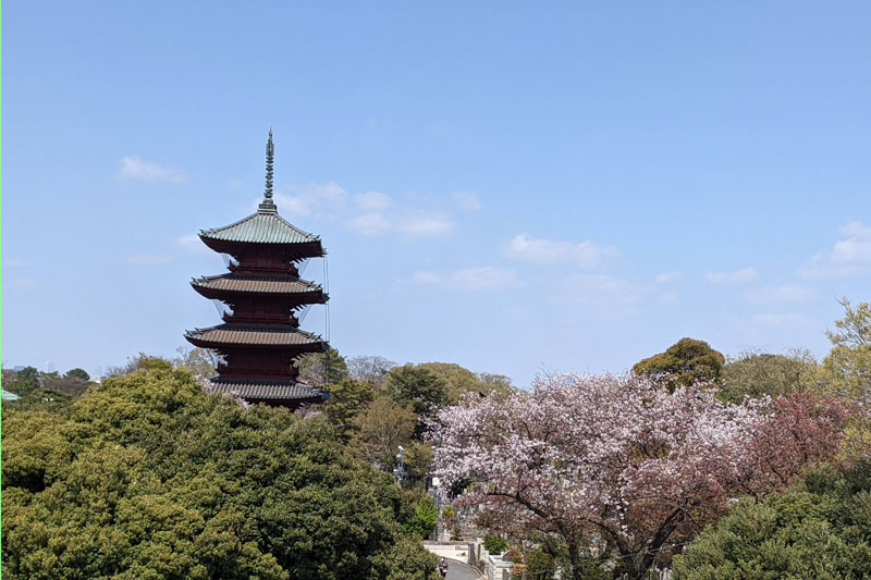 京都のようにもみえるが、都内にある池上本門寺