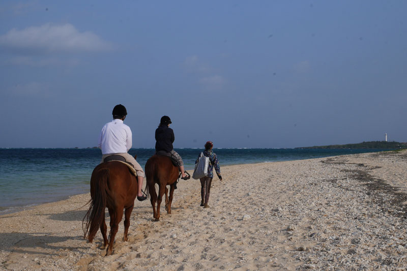 「星のや沖縄」では、朝に海辺で乗馬をするアクティビティも人気