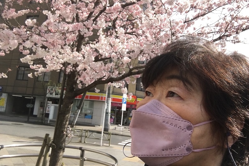 昨年の今頃。母ちゃんがいなくなってから2週間経った日、桜を見つめていた