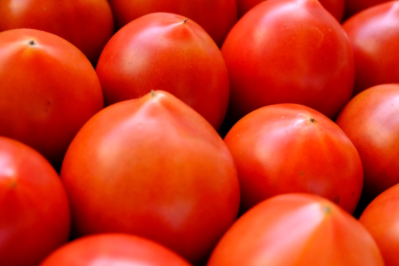 たくさん並んだトマト