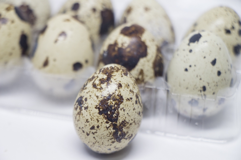 鶏卵よりも栄養価が高いうずらの卵