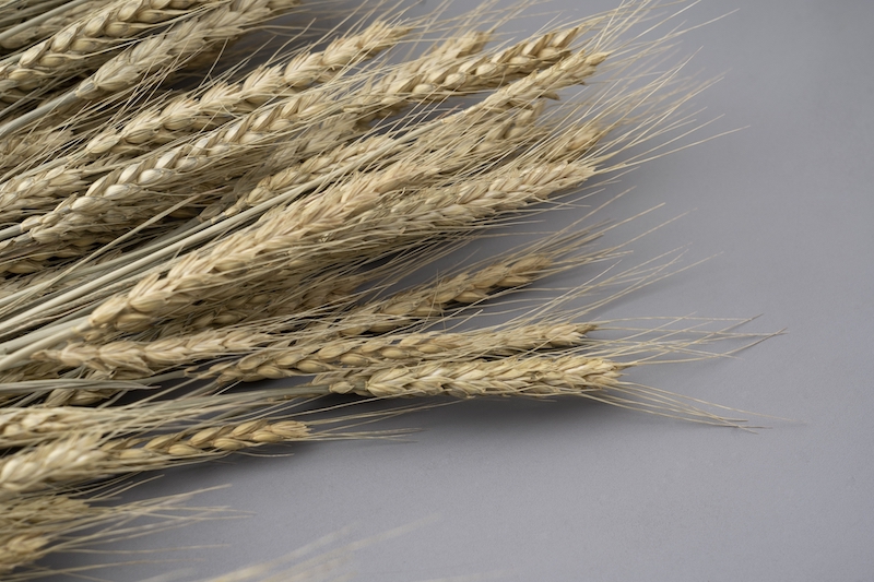 主食を小麦から米に！（Ph／photo AC）