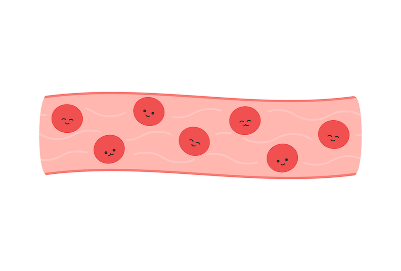 健康な血管のイメージイラスト