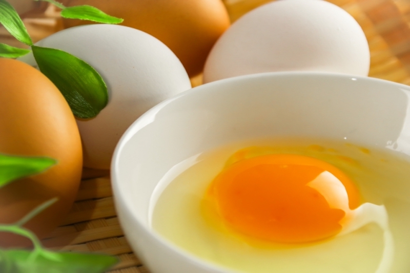 卵は栄養価の高い食材