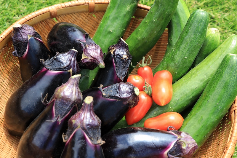 カリウムの多い夏野菜は体温を下げる