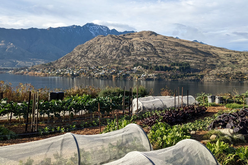 四季折々の作物が実る自家菜園（Sherwood（シャーウッド）＠ニュージーランド）