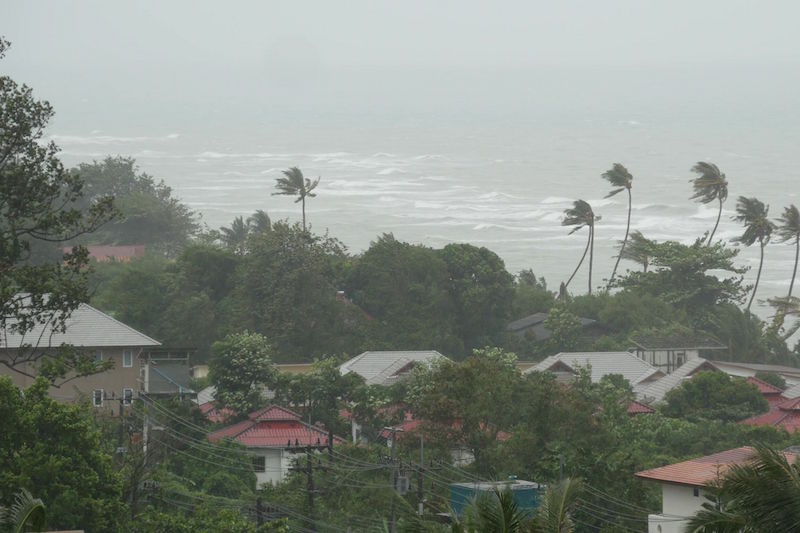 海沿いの住宅街に台風が来て木が風になびいている
