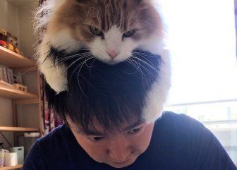 かまいたち・山内健司は「人生の一部」という愛猫家　写真集で一緒に暮らす6匹の「猫＆犬」との日…