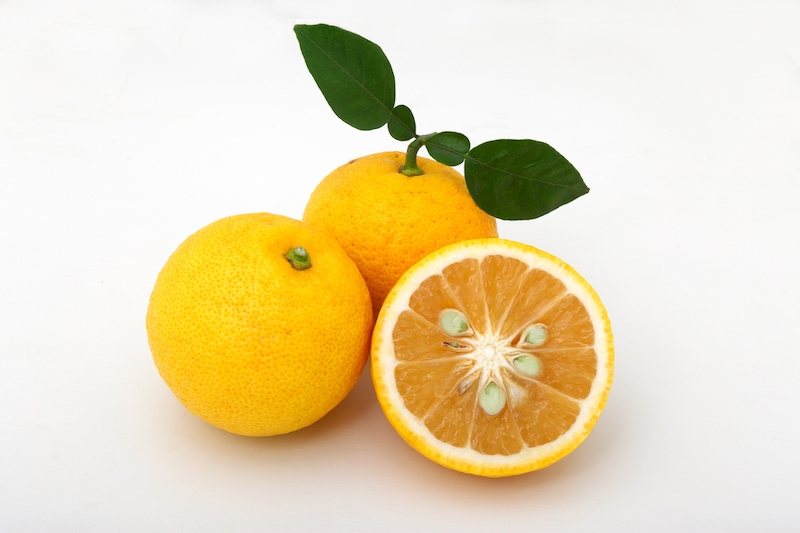 香酸柑橘の違いや買うときのポイントは？写真はゆず（Ph／photoAC）