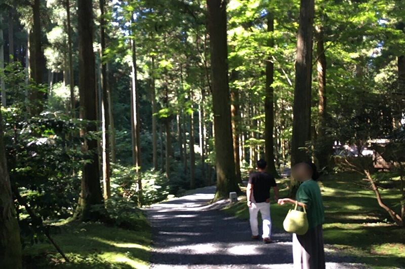 「御岩神社」は歩いているだけでエネルギーを感じた