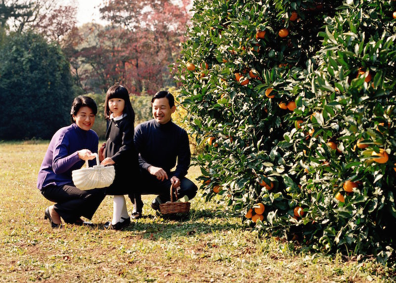 かごを持って秋の果物を収穫（2005年11月24日、Ph／宮内庁提供）