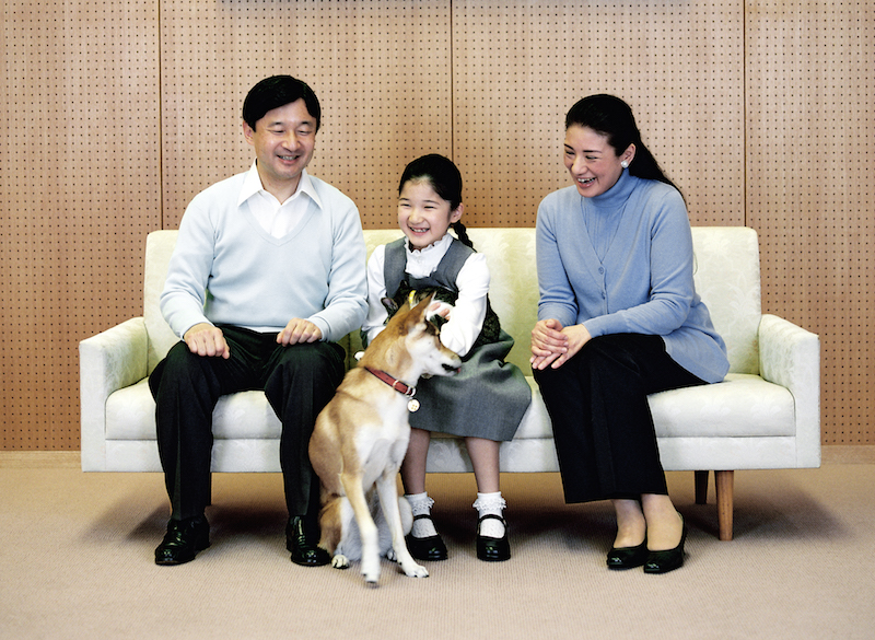 2010年12月、9歳の誕生日を迎えた愛子さまとの家族写真、愛犬と愛猫とたわむれる