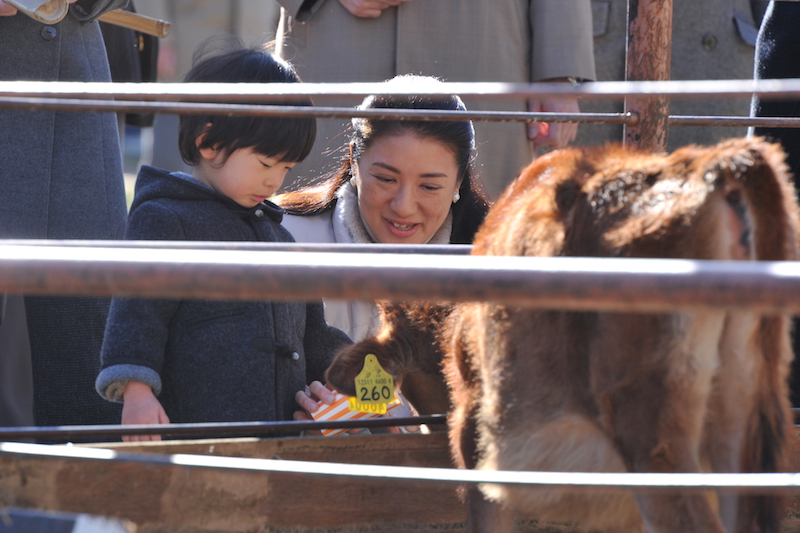 2009年12月、天皇ご一家（当時）で、こどもの国ご訪問の際の雅子さまと悠仁さま