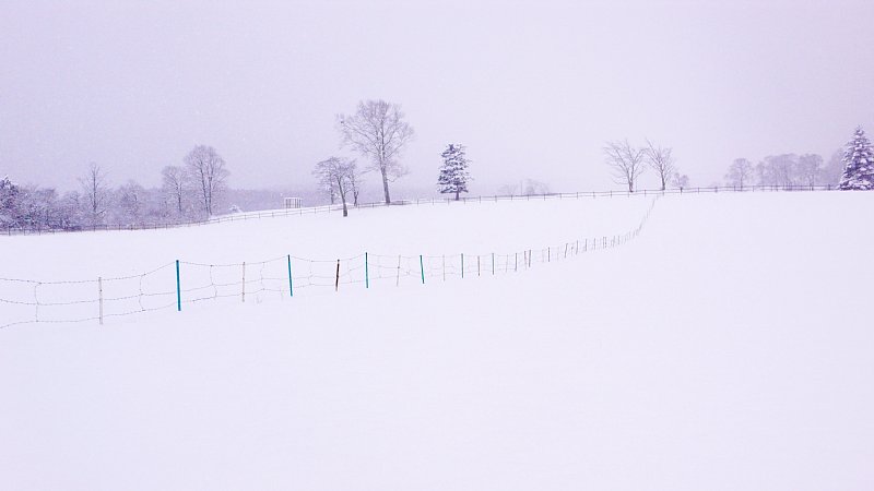 友人の家から撮った風景。一面、雪景色（Ph／大塚寧々）