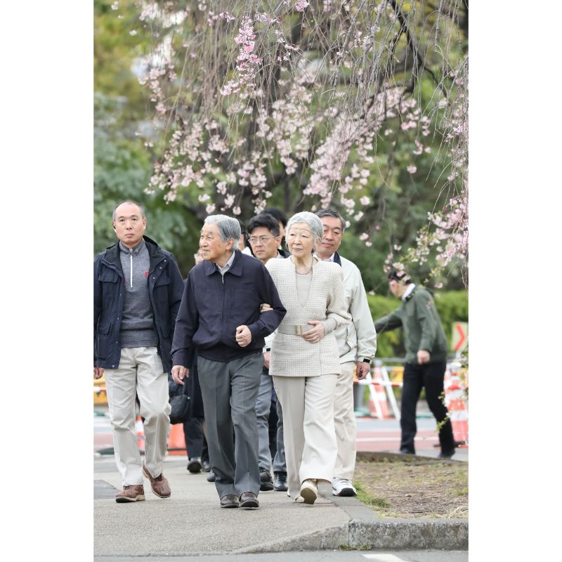 お忍びで桜を鑑賞された（2019年3月27日、Ph／横田紋子）