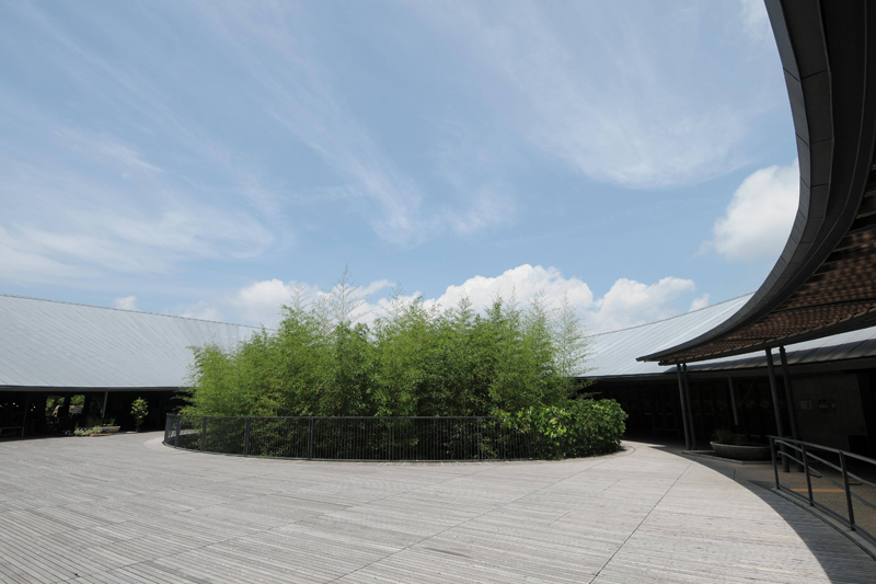 牧野富太郎記念館。園内の植物と共存するように建てられ、一度見たら忘れられない存在感