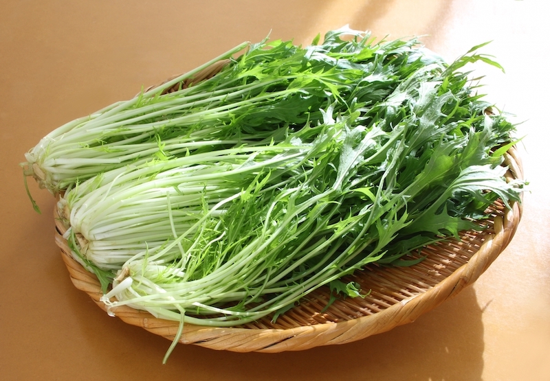 冬の野菜のイメージがある水菜の旬は、実は春（Ph／photoAC）