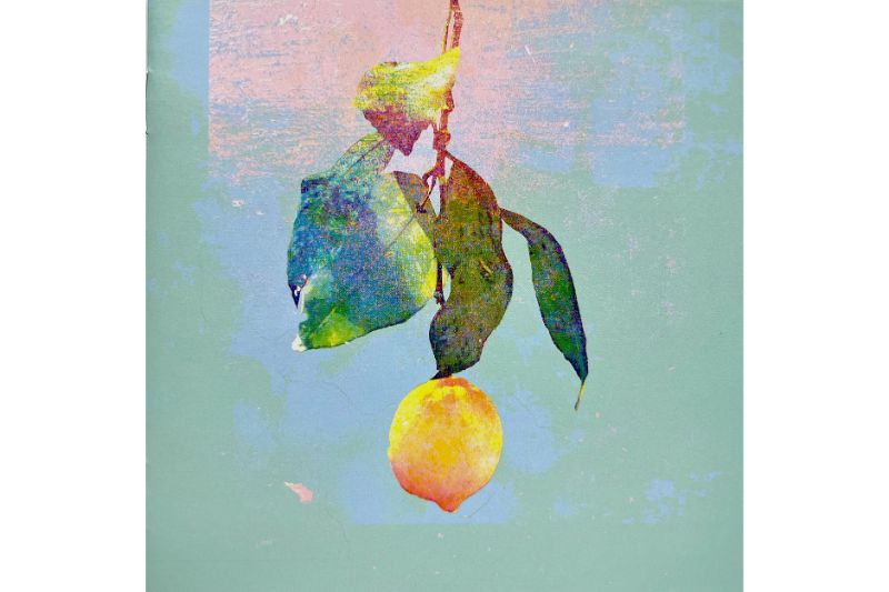 米津玄師の8枚目シングル『Lemon』。楽曲のアートワークは本人によるイラストが使われている