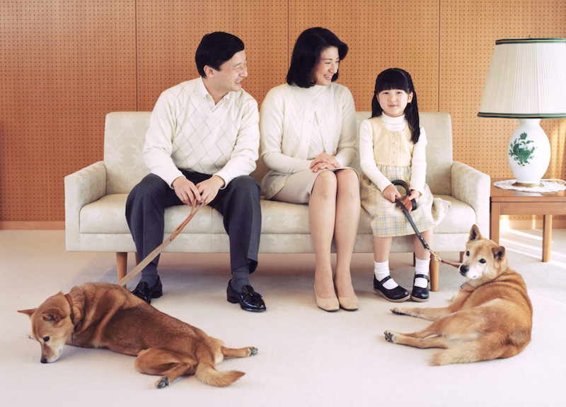 赤坂御用地で生まれた2匹の子犬を引き取られた（2007年2月12日、Ph／宮内庁提供）