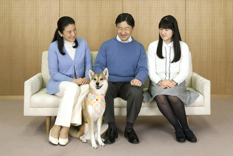 動物病院を通じて、引き取った保護犬・由莉（2015年2月、Ph／宮内庁提供）