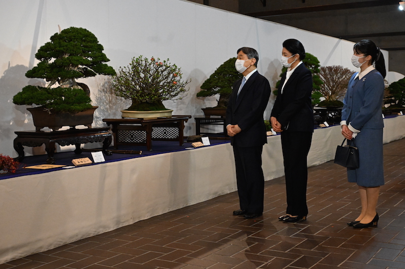 東京・上野の東京都美術館で開かれている「第98回国風盆栽展」を観賞される天皇皇后両陛下と愛子さま