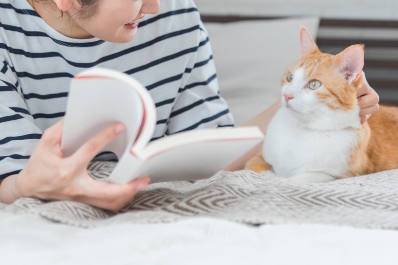 本を読みながら猫を撫でる女性