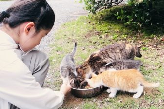 《天皇ご一家の飼い猫写真が公開》皇后雅子さまは園遊会で愛猫の写真を持参　愛子さまは初等科3年時に東宮御所に迷い込んだ猫を保護